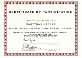 Martynas Norku certificate4